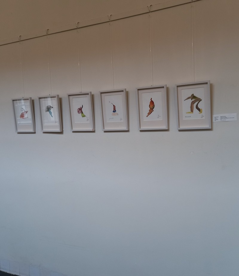 overzicht van mijn werk in de kloostergangen