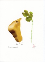 04-1097-2024_listen_seaweed