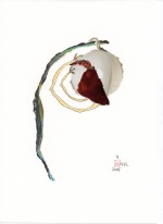 04-1472-2025