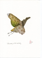 11-939-2023_i_fly_away_in_the_morning
