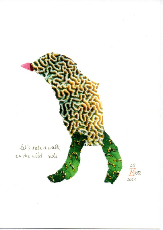lets_take_a_walk_on_the_wild_side